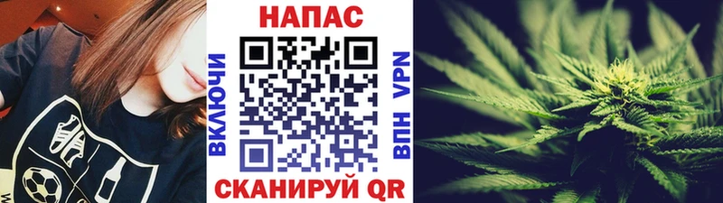 Купить наркотики Владивосток Cocaine Псилоцибиновые грибы Альфа ПВП Марихуана ГАШ Меф мяу мяу