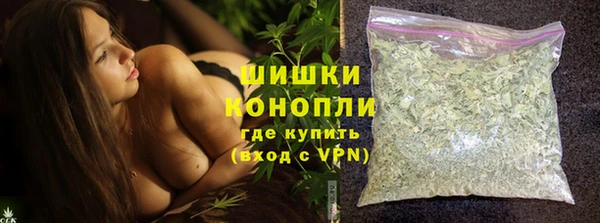 тгк Пересвет