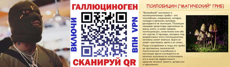 Псилоцибиновые грибы мицелий  где купить   omg сайт  Владивосток 